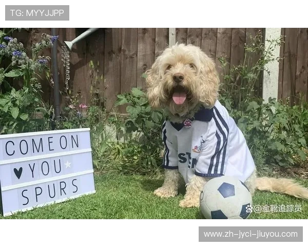 英超足球队的宠物与球迷文化