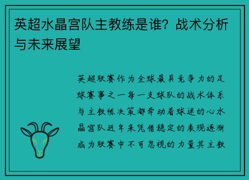 英超水晶宫队主教练是谁？战术分析与未来展望